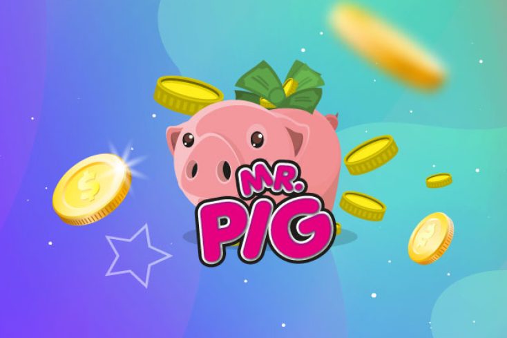 mr-pig-intra-